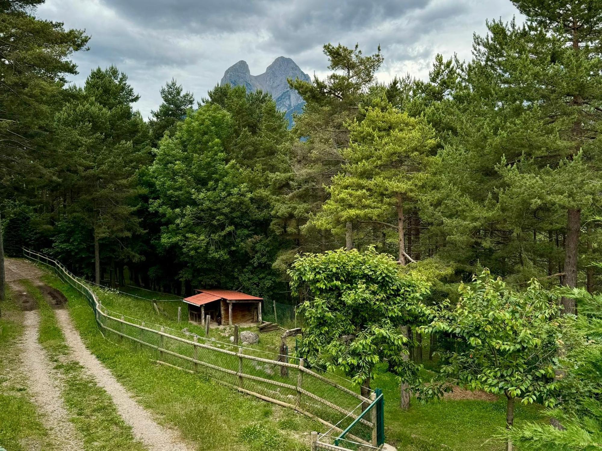 Вилла Cal Roig - Pedraforca Сальдес Экстерьер фото